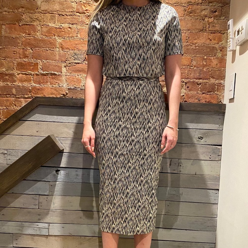 Ronny Kobo Printed Crop Top + Pencil Skirt Set